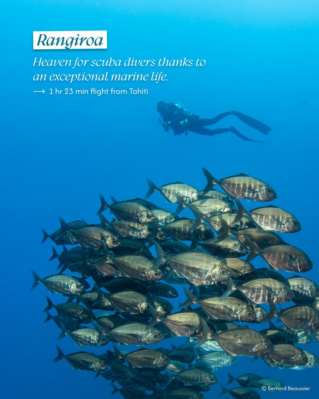 Instagram post from airtetiaroa. This post is in position 4.